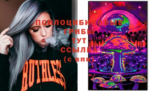 Альфа ПВП Няндома