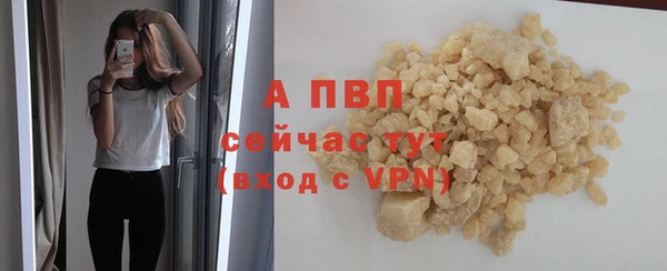 Альфа ПВП Няндома