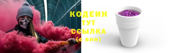 Альфа ПВП Няндома
