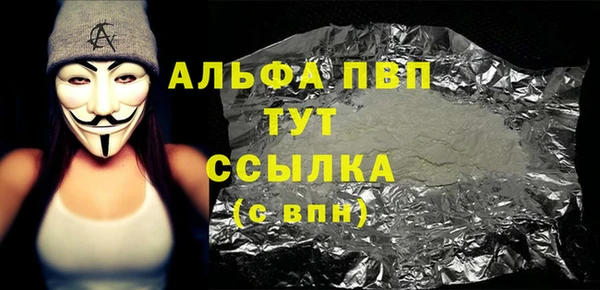 Альфа ПВП Няндома