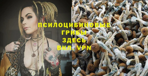 Альфа ПВП Няндома
