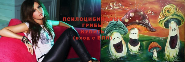дмт Нягань