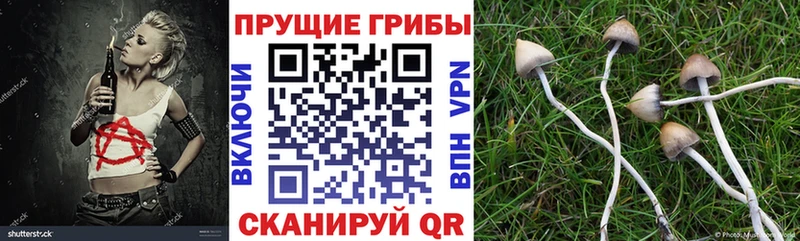 Галлюциногенные грибы мухоморы Азов