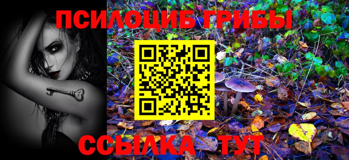 Галлюциногенные грибы MAGIC MUSHROOMS  Вход с VPN  Азов 