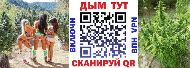 Шишки марихуана гибрид  ссылка на мегу ССЫЛКА  Азов 